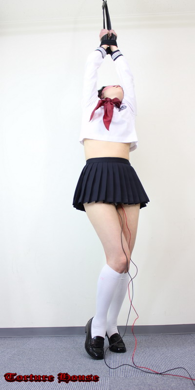 ݂草IJKT㎖ 9 S񑊑{iҁj