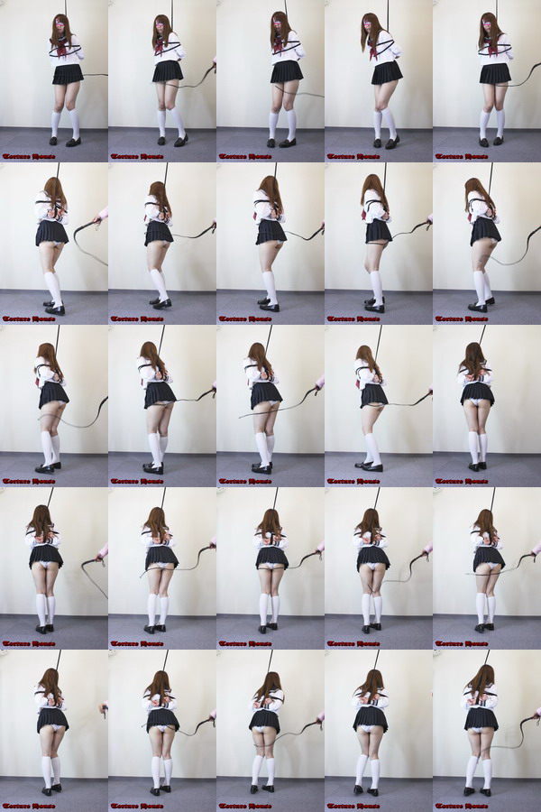 ݂草IJKT㎖ 9 S񑊑{iҁj