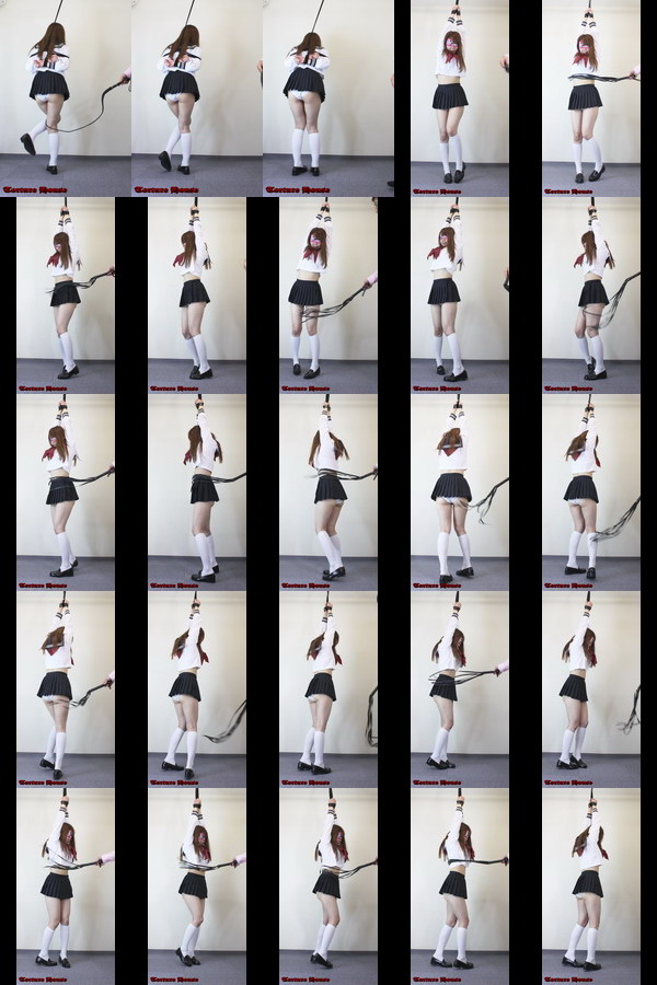 ݂草IJKT㎖ 9 S񑊑{iҁj