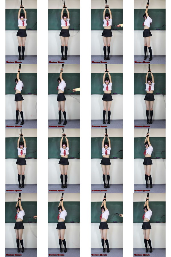 w2045 sqw ̔4 1NVg Fs{^