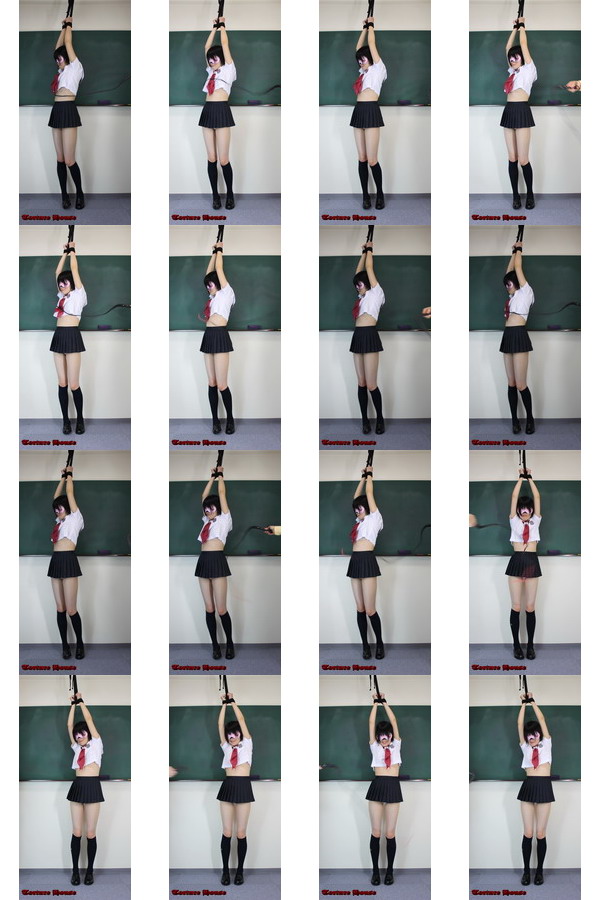 w2045 sqw ̔4 1NVg Fs{^