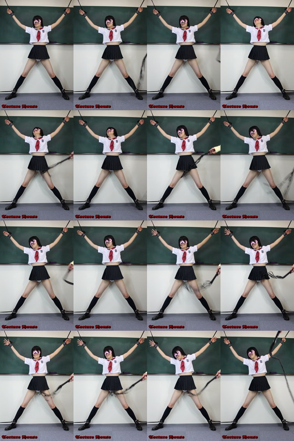 w2045 sqw ̔4 1NVg Fs{^