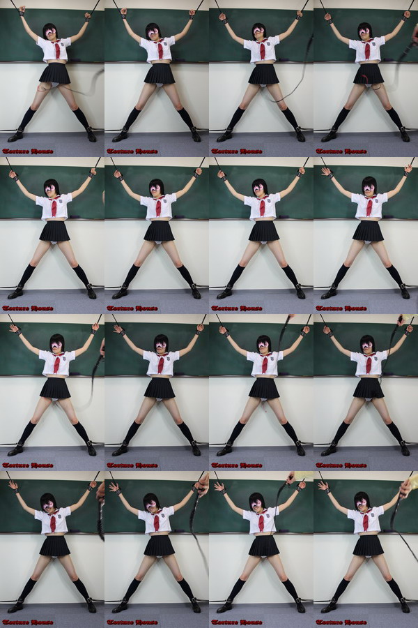 w2045 sqw ̔4 1NVg Fs{^