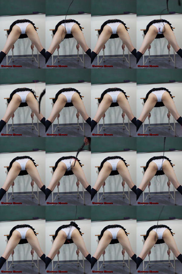 w2045 sqw ̔4 1NVg Fs{^