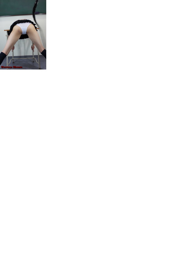 w2045 sqw ̔4 1NVg Fs{^