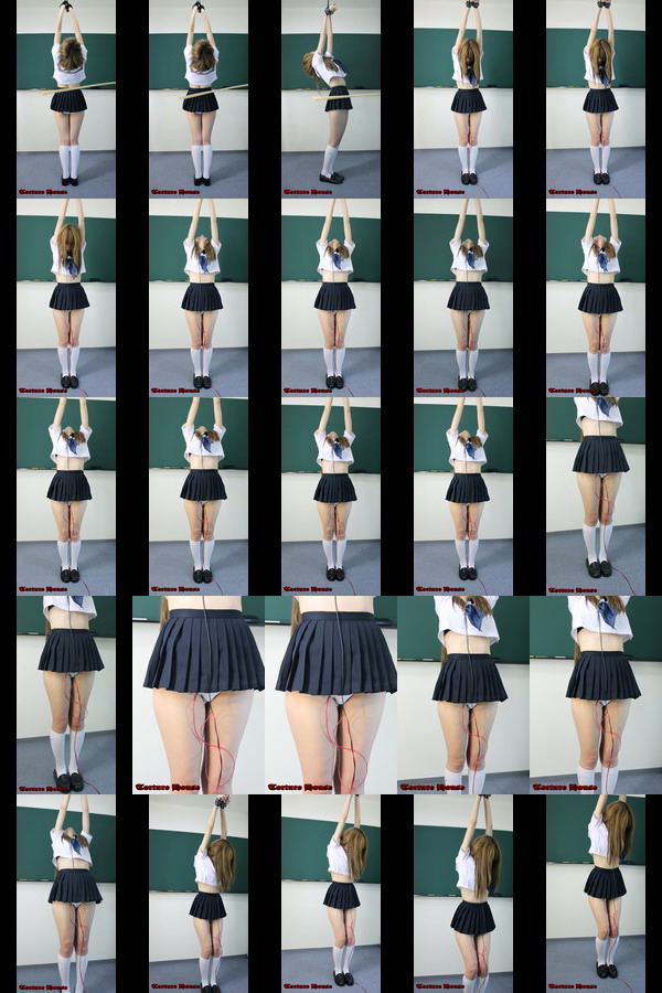 w2045 sqw ̔5 1NKg l䂩