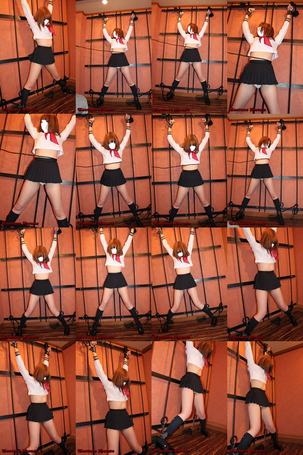 vZXEIuELA ZJhXe[W R[hNo.13 LA127