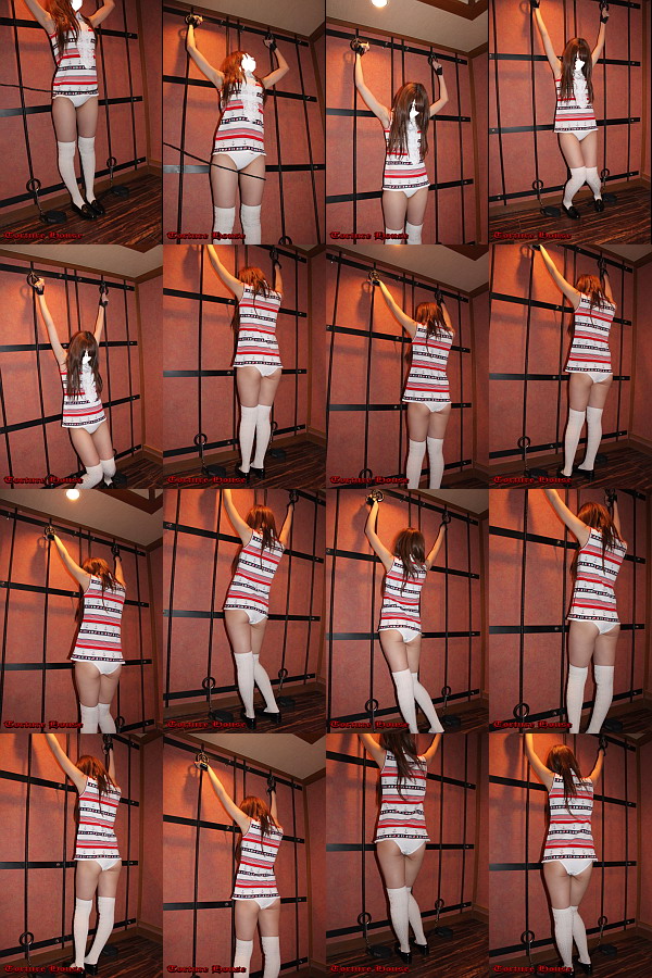 vZXEIuELA ZJhXe[W R[hNo.16 LA17